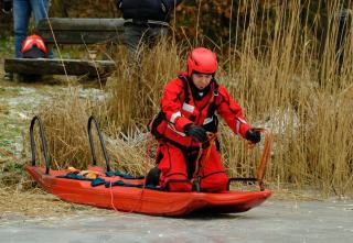 Formation cynophile sécurité : devenir maître-chien