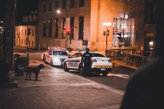 Nuisibles et sécurité de nuit : les signaux à détecter rapidement
